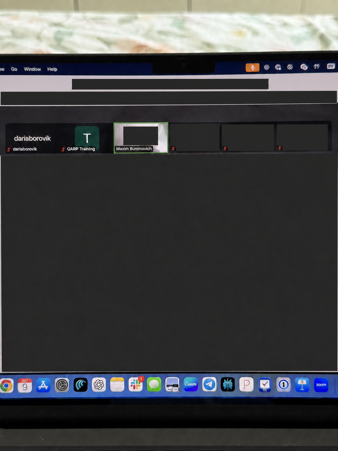Redacted screenshot of a work Zoom call involving Daria Borovik